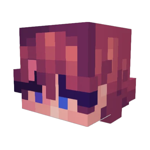 ThirdPartyBears Minecraft avatar head, 3D render