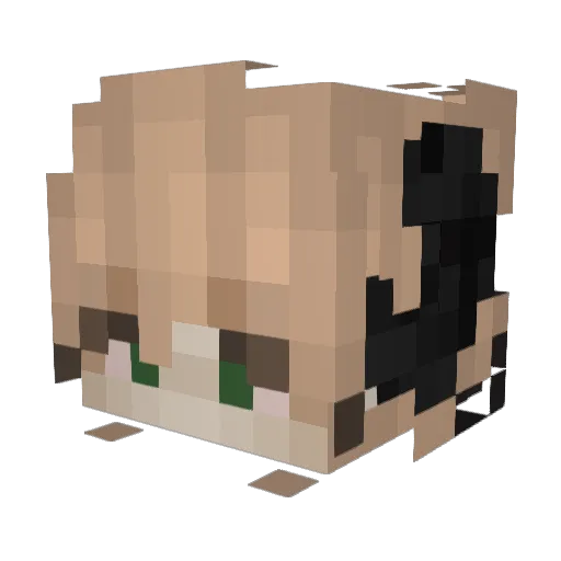 Thirq Minecraft avatar head, 3D render