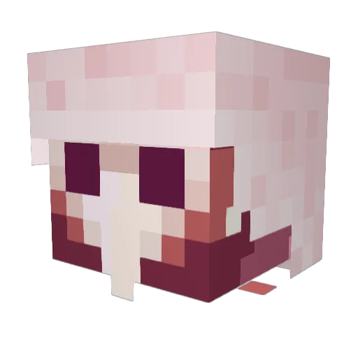 Thirteen_Cr0ws Minecraft avatar head, 3D render