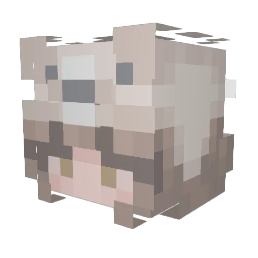 ThisDaren Minecraft avatar head, 3D render