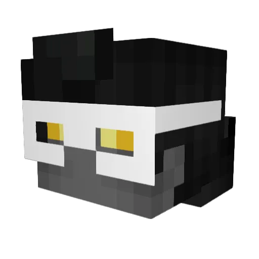 ThisFlany Minecraft avatar head, 3D render