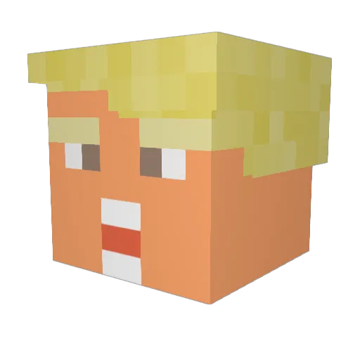 ThisGuyIsCool Minecraft avatar head, 3D render
