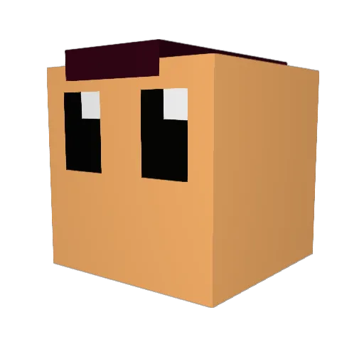 ThisGuyPanda Minecraft avatar head, 3D render