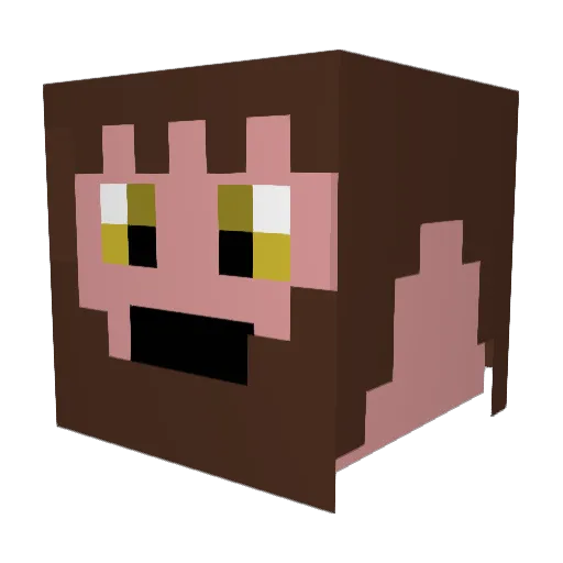ThisGuy_200 Minecraft avatar head, 3D render