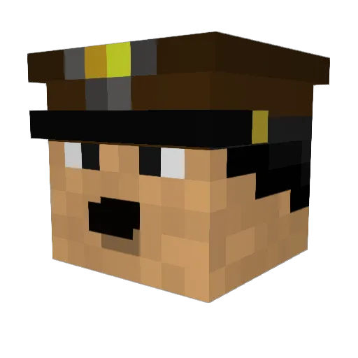 ThisIsSpam______ Minecraft avatar head, 3D render
