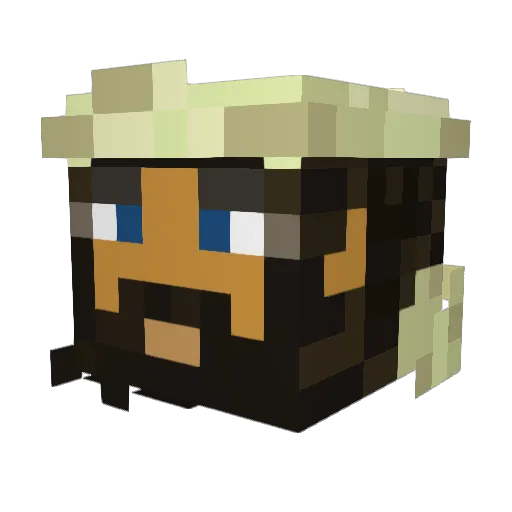 Thisguy699 Minecraft avatar head, 3D render