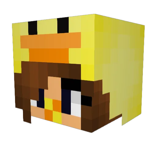 ThisisDuck Minecraft avatar head, 3D render