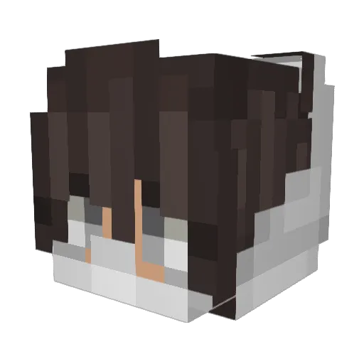 Thisisnotsonder Minecraft avatar head, 3D render