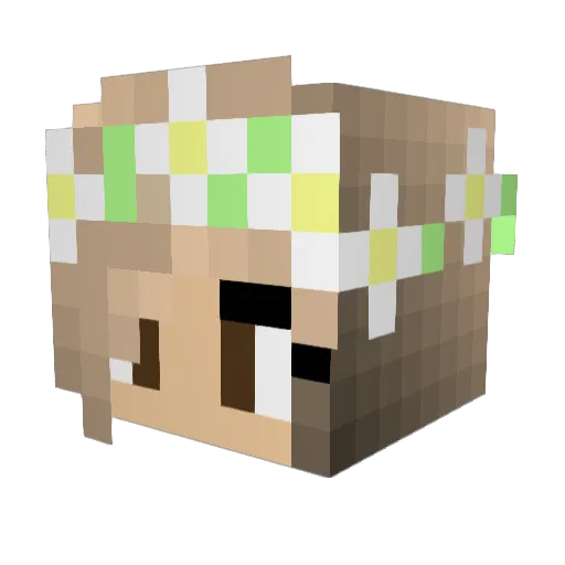 Thomas2004 Minecraft avatar head, 3D render