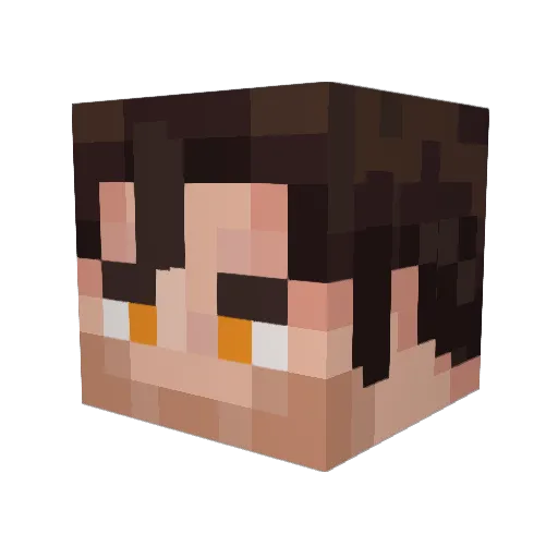 Thomas260 Minecraft avatar head, 3D render