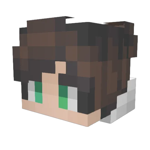 Thomas2676 Minecraft avatar head, 3D render