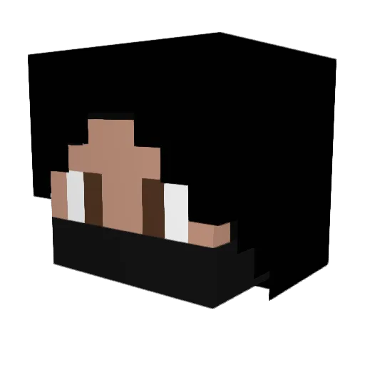 Thomas900 Minecraft avatar head, 3D render
