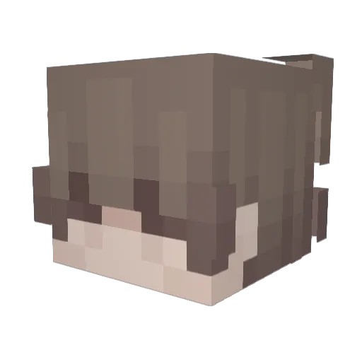 Thomas Minecraft avatar head, 3D render