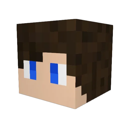 ThomasFTW001 Minecraft avatar head, 3D render