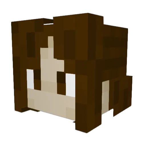 ThomasPlays0412 Minecraft avatar head, 3D render