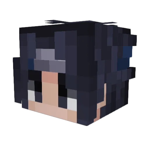 ThomasRendon16 Minecraft avatar head, 3D render