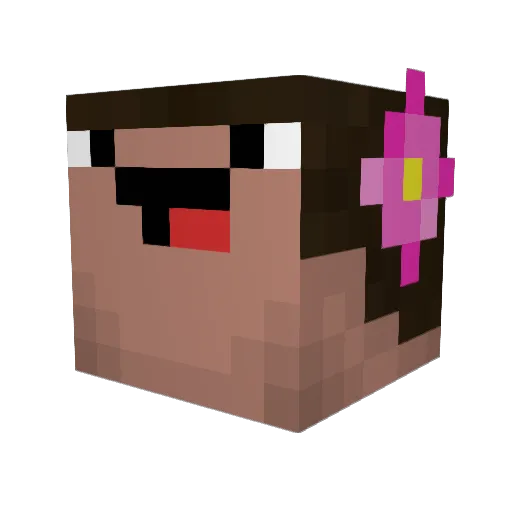 ThomasSBS Minecraft avatar head, 3D render