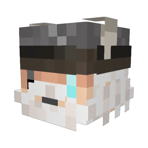ThomasTAM Minecraft avatar head, 3D render