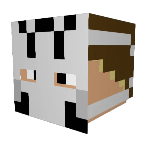 ThomasTheMiner Minecraft avatar head, 3D render