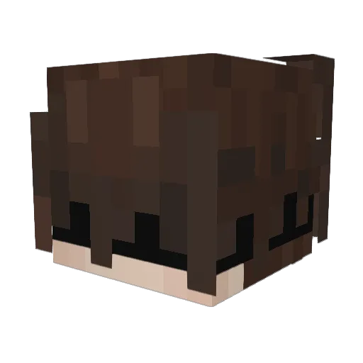 Thomas_1x1 Minecraft avatar head, 3D render