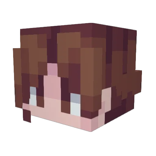 Thomas_Llama Minecraft avatar head, 3D render
