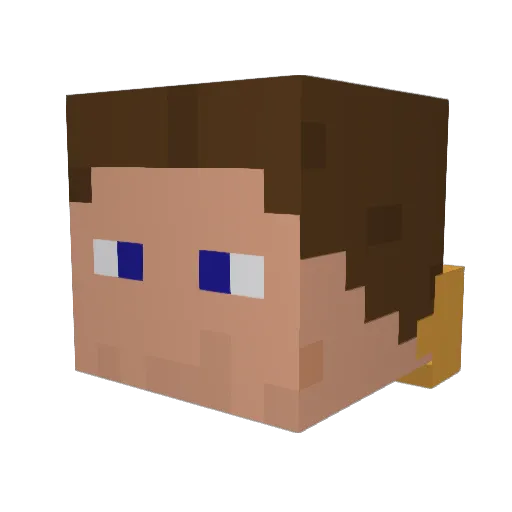 Thomas_Vulture Minecraft avatar head, 3D render