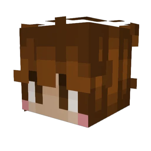 Thomasen07 Minecraft avatar head, 3D render