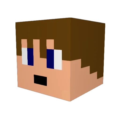 Thomasfinn Minecraft avatar head, 3D render