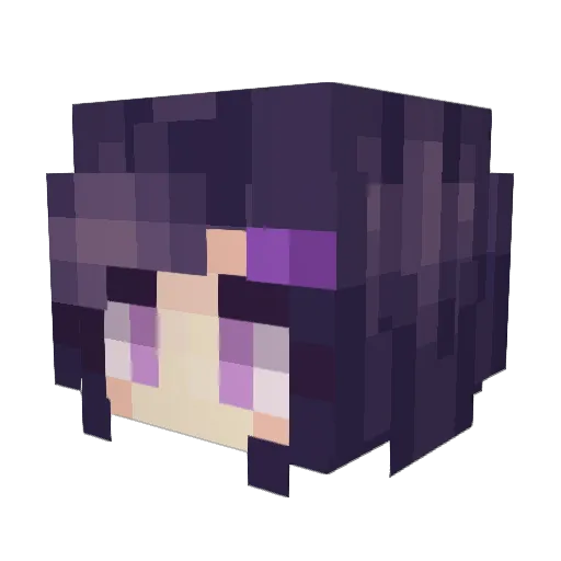 Thomashero14 Minecraft avatar head, 3D render