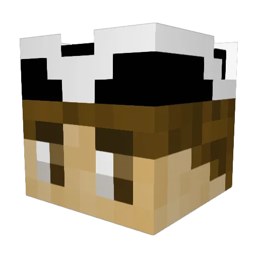 Thomashut96 Minecraft avatar head, 3D render