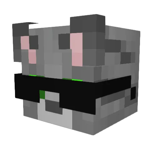 Thomasin2000 Minecraft avatar head, 3D render