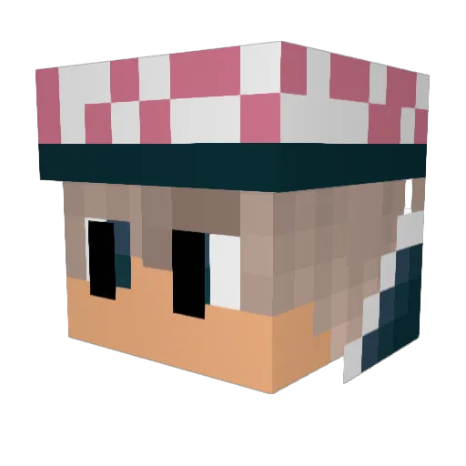 Thomasolicious Minecraft avatar head, 3D render