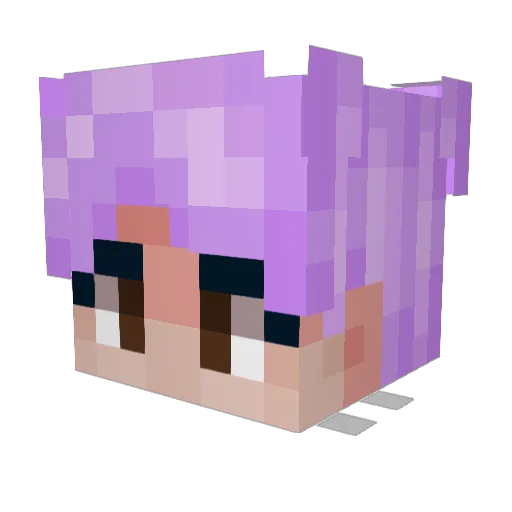 ThomasthePro04 Minecraft avatar head, 3D render