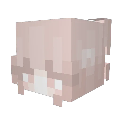 Thomaswwilliams Minecraft avatar head, 3D render