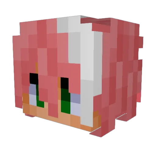 Thomasz0107 Minecraft avatar head, 3D render