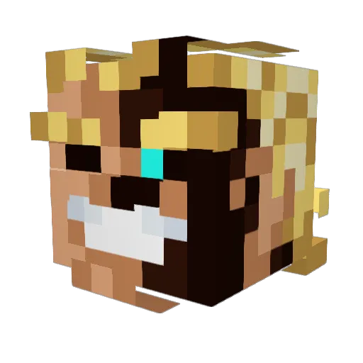 Thomi96 Minecraft avatar head, 3D render