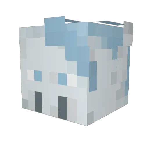 Thominator47 Minecraft avatar head, 3D render