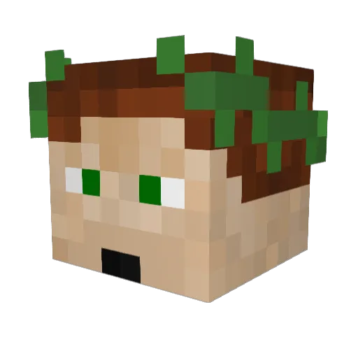 Thompleb Minecraft avatar head, 3D render
