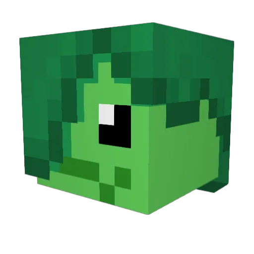 Thompsonvonjung Minecraft avatar head, 3D render