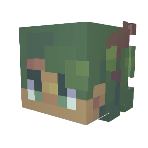 ThomxAhawk Minecraft avatar head, 3D render