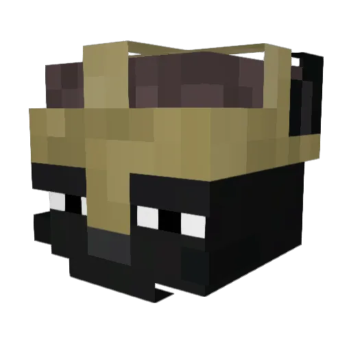 Thor_828 Minecraft avatar head, 3D render