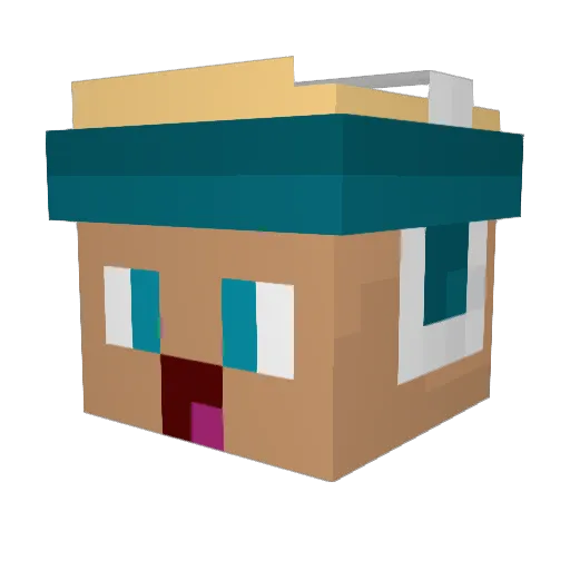 Thorben009 Minecraft avatar head, 3D render