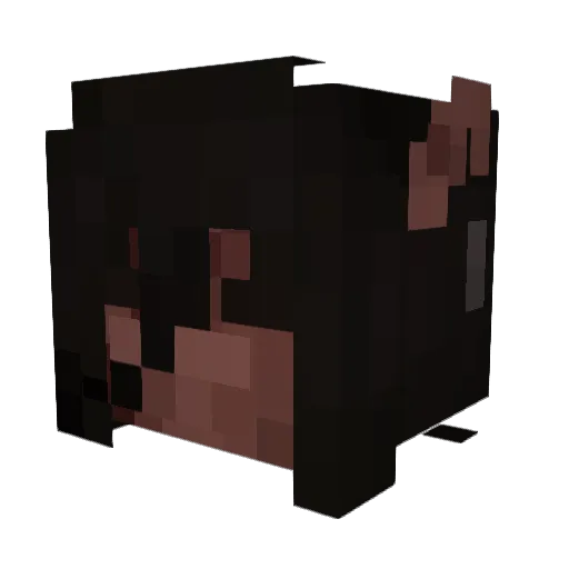 Thordeau Minecraft avatar head, 3D render