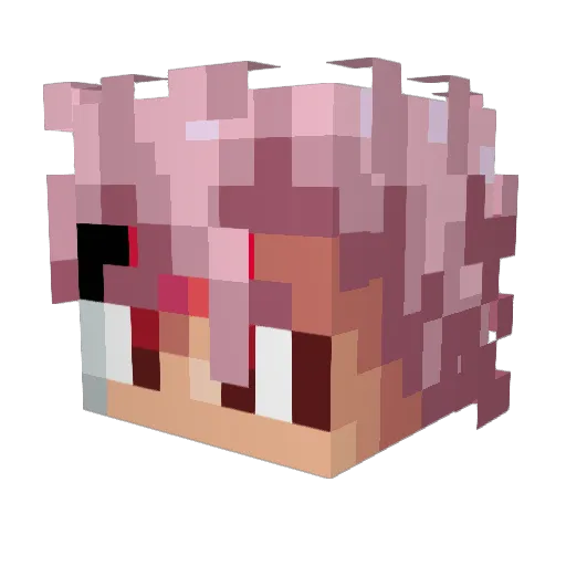 Thordieu9808 Minecraft avatar head, 3D render