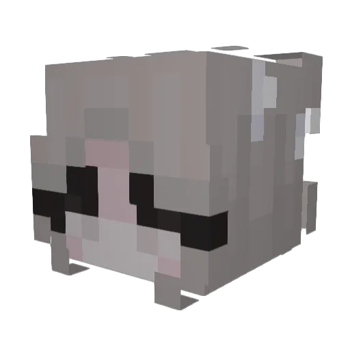 ThoricChicken38 Minecraft avatar head, 3D render