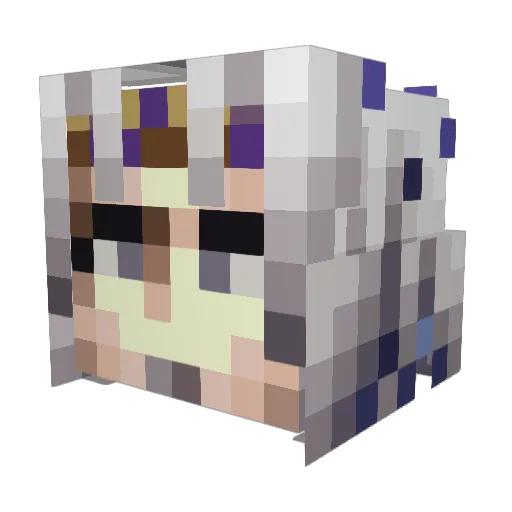 Thorn20 Minecraft avatar head, 3D render