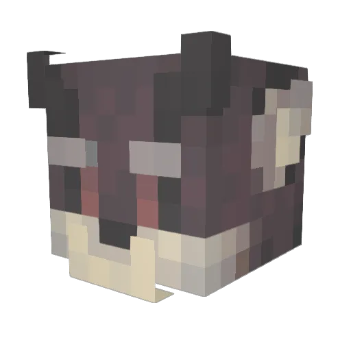 Thornz20 Minecraft avatar head, 3D render
