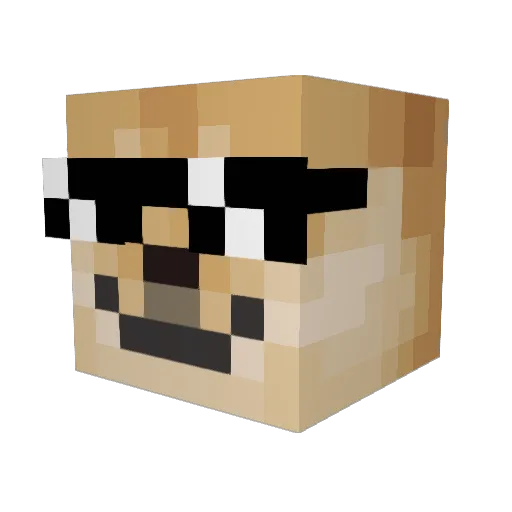 ThoroughlyRinsed Minecraft avatar head, 3D render