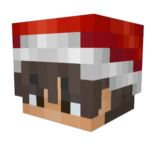 Thorpro0726 Minecraft avatar head, 3D render