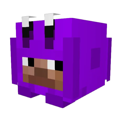 Thos2well Minecraft avatar head, 3D render